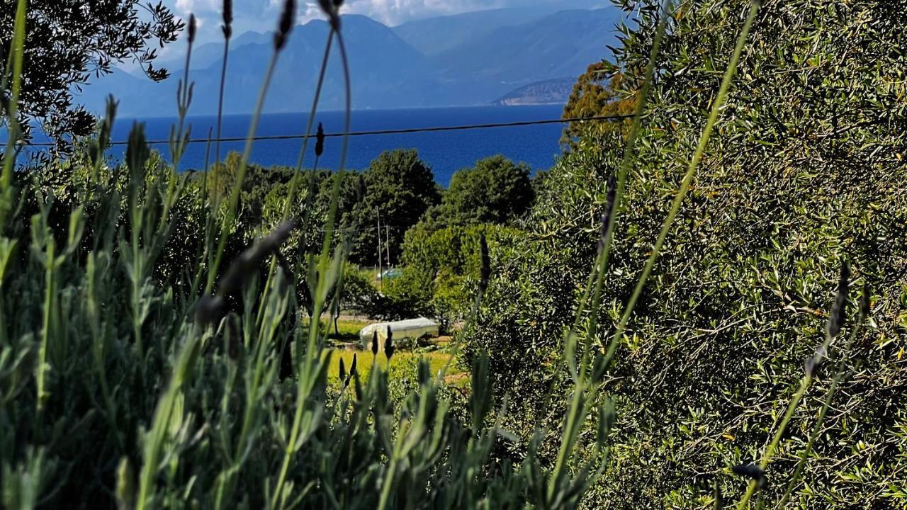 Villa Sania คัสซิโอปี ภายนอก รูปภาพ
